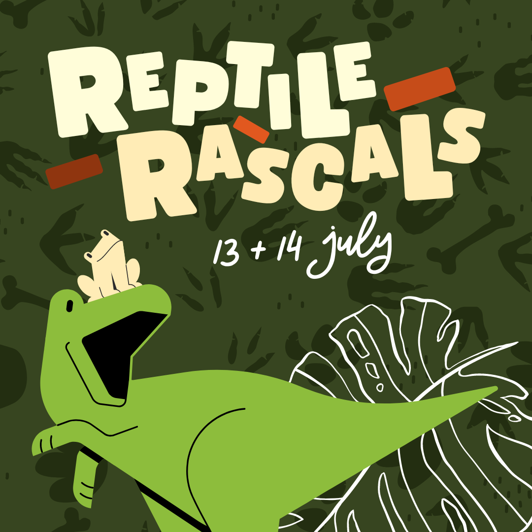 Reptile Rascals - HomeHQ Artarmon