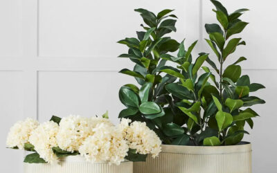 Final Call: Extra 20% Off Last Chance Styles at Provincial Home Living!